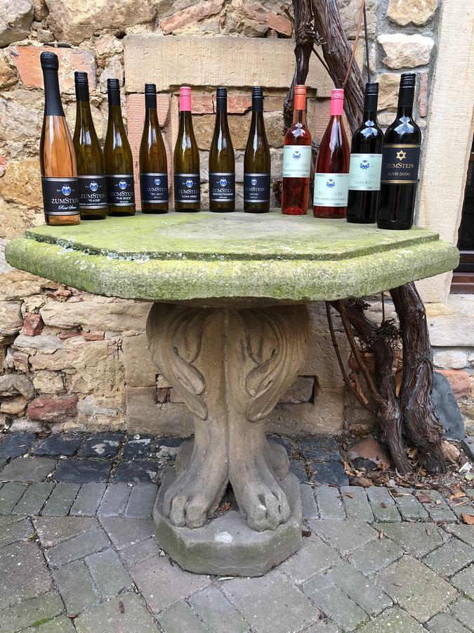 מלון באד דירקהיים Weingut Zumstein מראה חיצוני תמונה